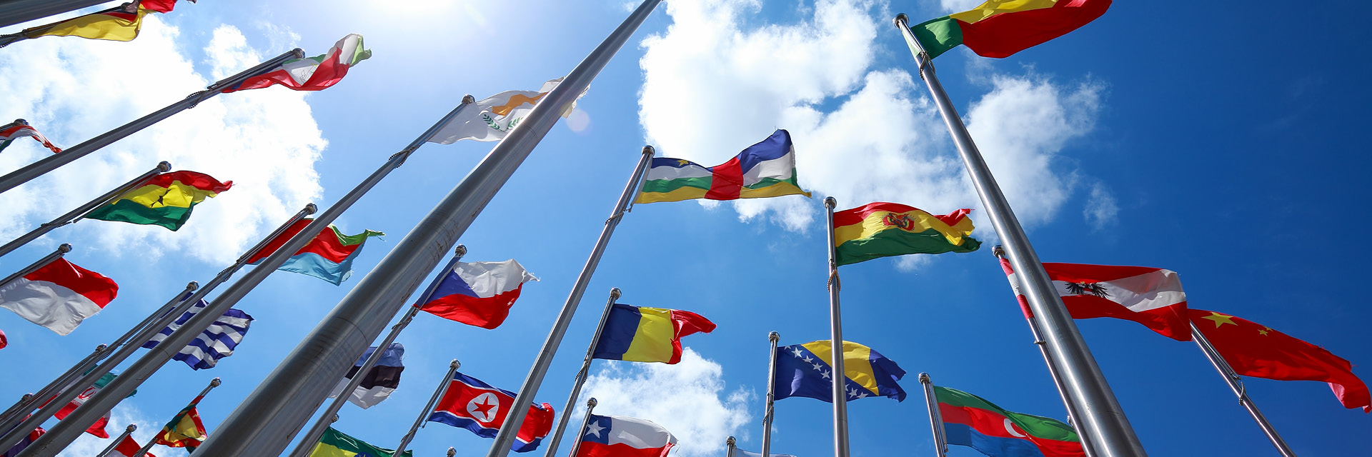 Internationales Design bei Wagner Wohnen